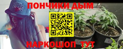гидропоника Свободный