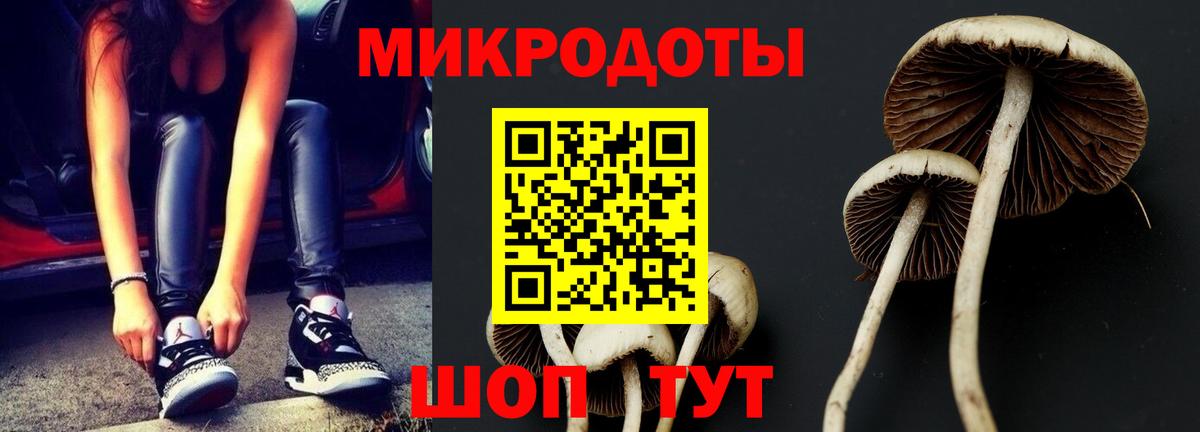 Галлюциногенные грибы MAGIC MUSHROOMS  Вход с VPN  Новокубанск 